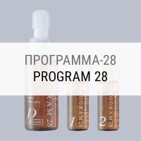 Program 28
