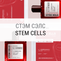 Stem cells