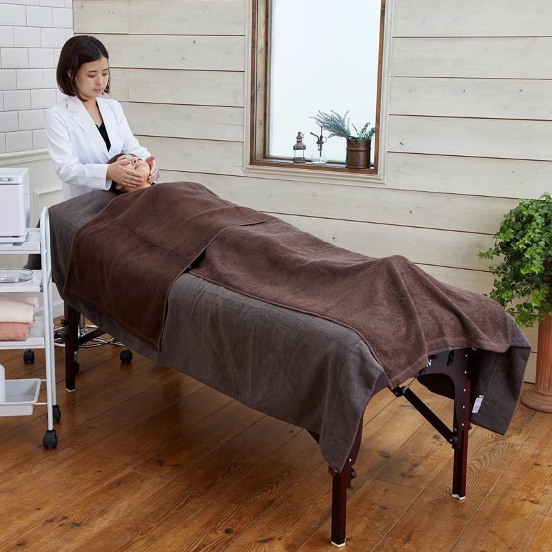 Beauty Garage Esthetic Treatment Bed Dark Brown. Кушетка для эстетических процедур (темно-коричневая) Бьюти Гараж, 1 шт.